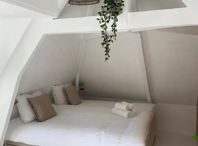 Tx71 * デン・ブルグ